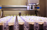 科學家利用WIWAM高通量植物表型平臺發表幾丁質介導的植物生長文章